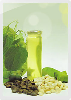Sacha Inchi Oil - Inca Health