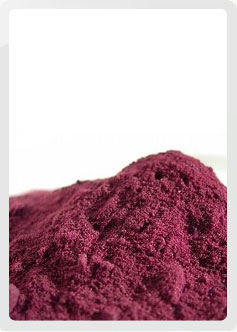 Sangre de Grado Extract - Inca Health