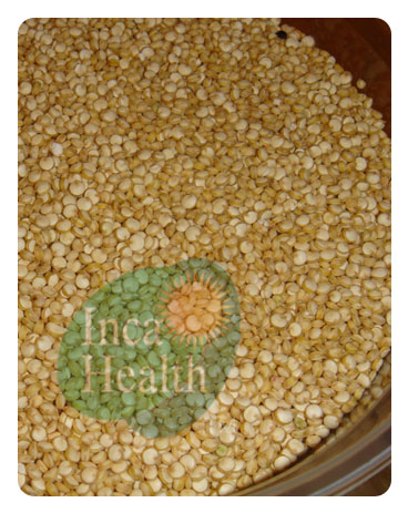 Quinoa Grain - Inca Quinoa